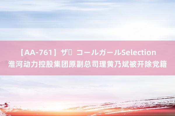 【AA-761】ザ・コールガールSelection 淮河动力控股集团原副总司理黄乃斌被开除党籍