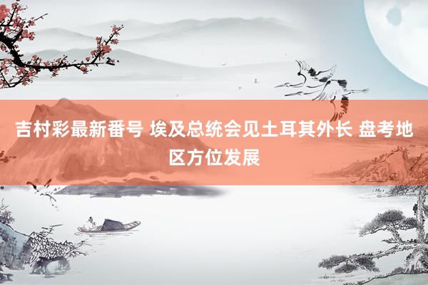 吉村彩最新番号 埃及总统会见土耳其外长 盘考地区方位发展