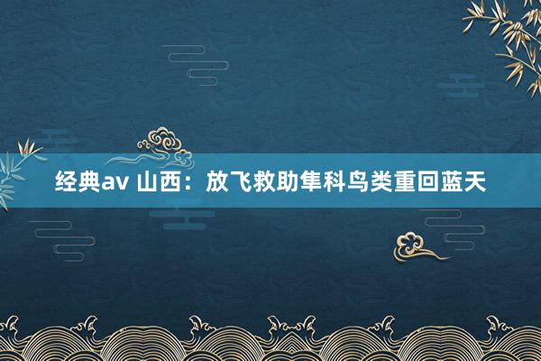 经典av 山西：放飞救助隼科鸟类重回蓝天