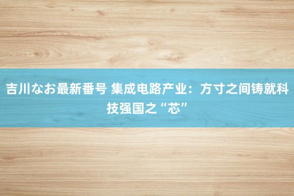 吉川なお最新番号 集成电路产业：方寸之间铸就科技强国之“芯”