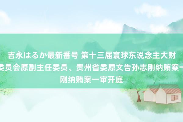 吉永はるか最新番号 第十三届寰球东说念主大财政经济委员会原副主任委员、贵州省委原文告孙志刚纳贿案一审开庭