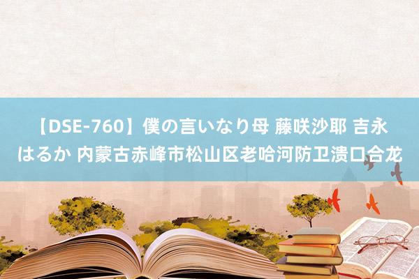 【DSE-760】僕の言いなり母 藤咲沙耶 吉永はるか 内蒙古赤峰市松山区老哈河防卫溃口合龙