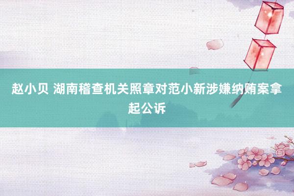 赵小贝 湖南稽查机关照章对范小新涉嫌纳贿案拿起公诉