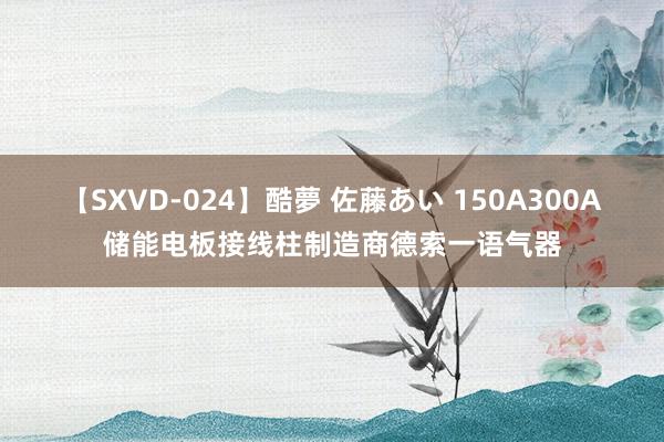 【SXVD-024】酷夢 佐藤あい 150A300A储能电板接线柱制造商德索一语气器