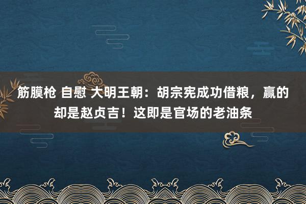 筋膜枪 自慰 大明王朝：胡宗宪成功借粮，赢的却是赵贞吉！这即是官场的老油条