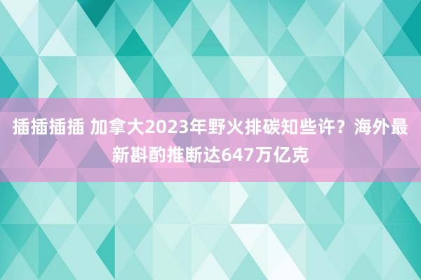 插插插插 加拿大2023年野火排碳知些许？海外最新斟酌推断达647万亿克