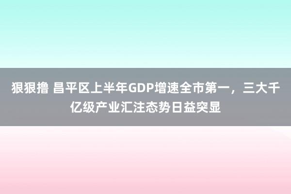 狠狠撸 昌平区上半年GDP增速全市第一，三大千亿级产业汇注态势日益突显