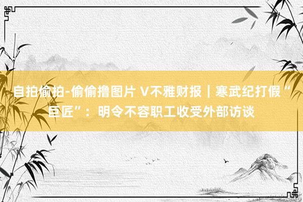 自拍偷拍-偷偷撸图片 V不雅财报｜寒武纪打假“巨匠”：明令不容职工收受外部访谈