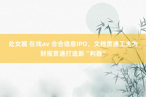 处女膜 在线av 合合信息IPO，文档贯通工夫为财报贯通打造新“利器”