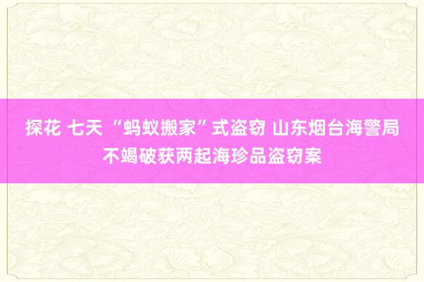 探花 七天 “蚂蚁搬家”式盗窃 山东烟台海警局不竭破获两起海珍品盗窃案