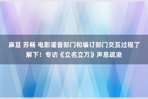 麻豆 苏畅 电影灌音部门和编订部门交互过程了解下！专访《立名立万》声息疏浚