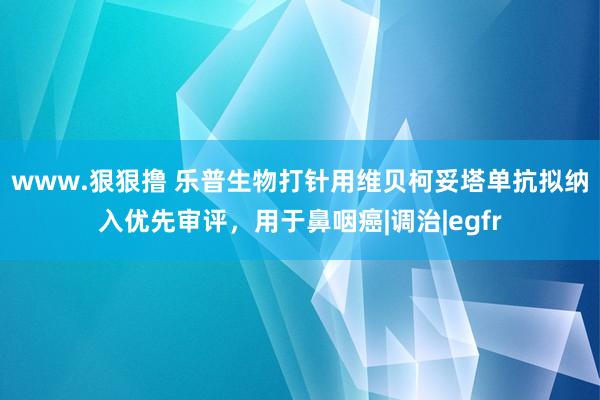 www.狠狠撸 乐普生物打针用维贝柯妥塔单抗拟纳入优先审评，用于鼻咽癌|调治|egfr